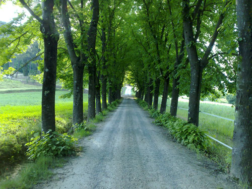 ingresso strada