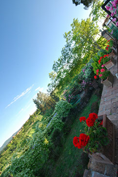 panorama giardino