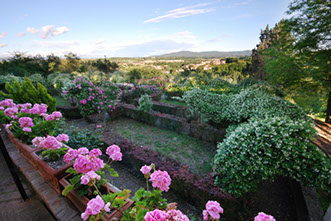 panorama2